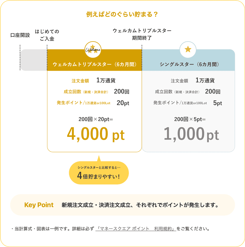 マネースクエア ポイントの付与例
